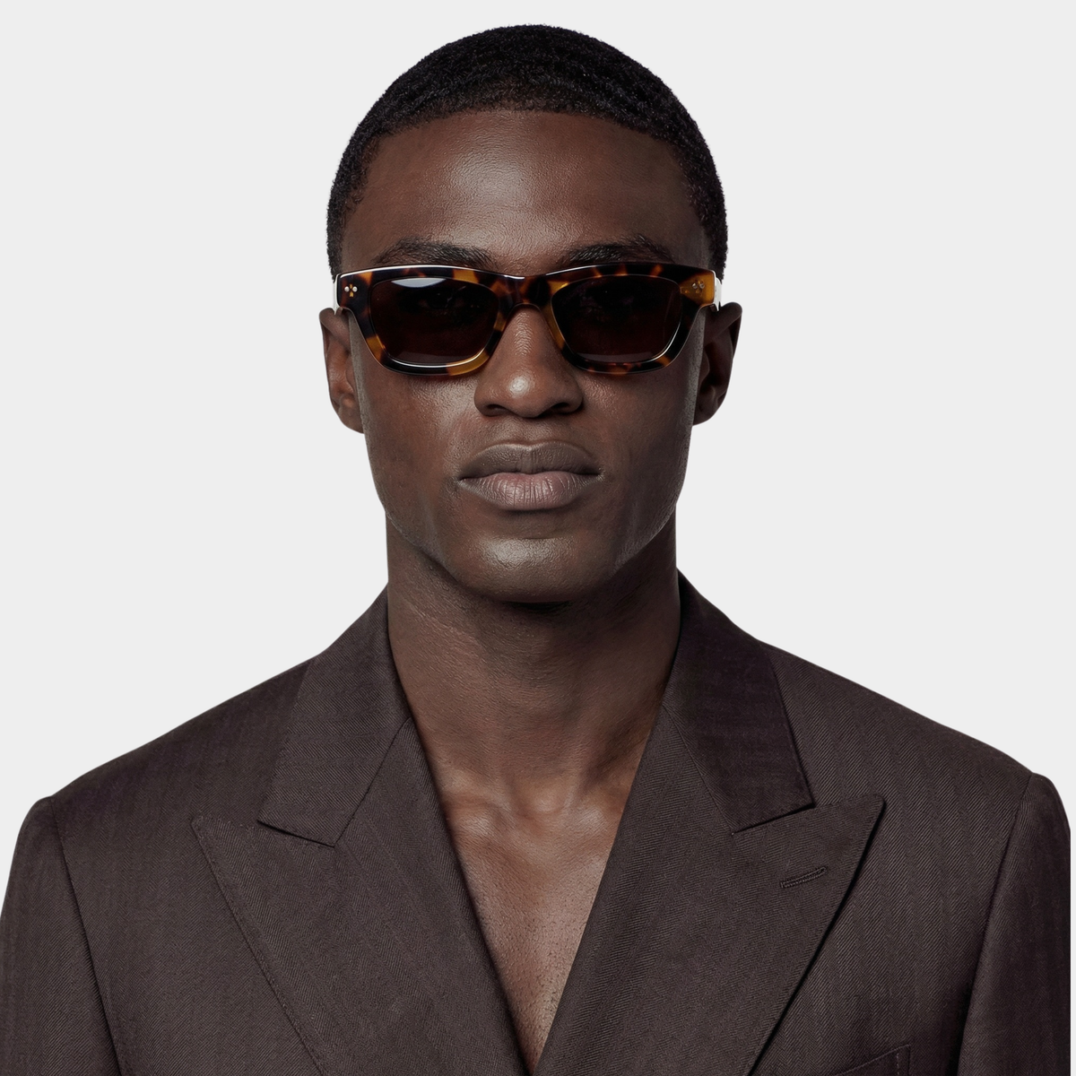 "VIII" Tortoise - Anniversary Model