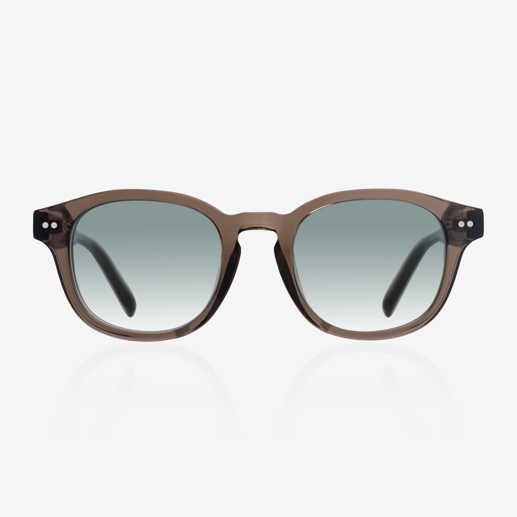 Cove Olive