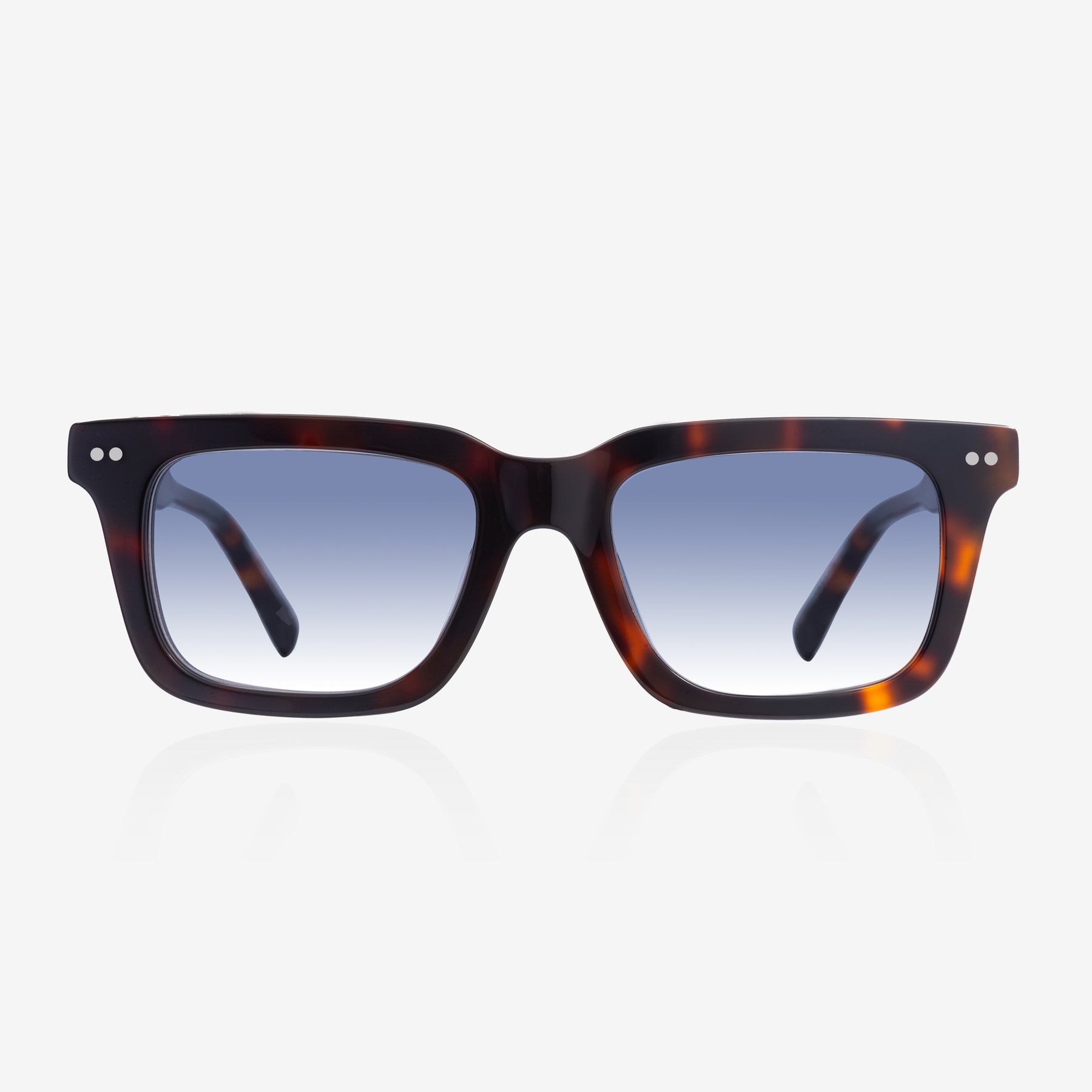 Carter Tortoise