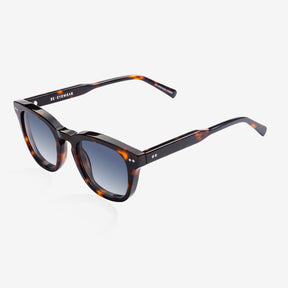 Carter Tortoise